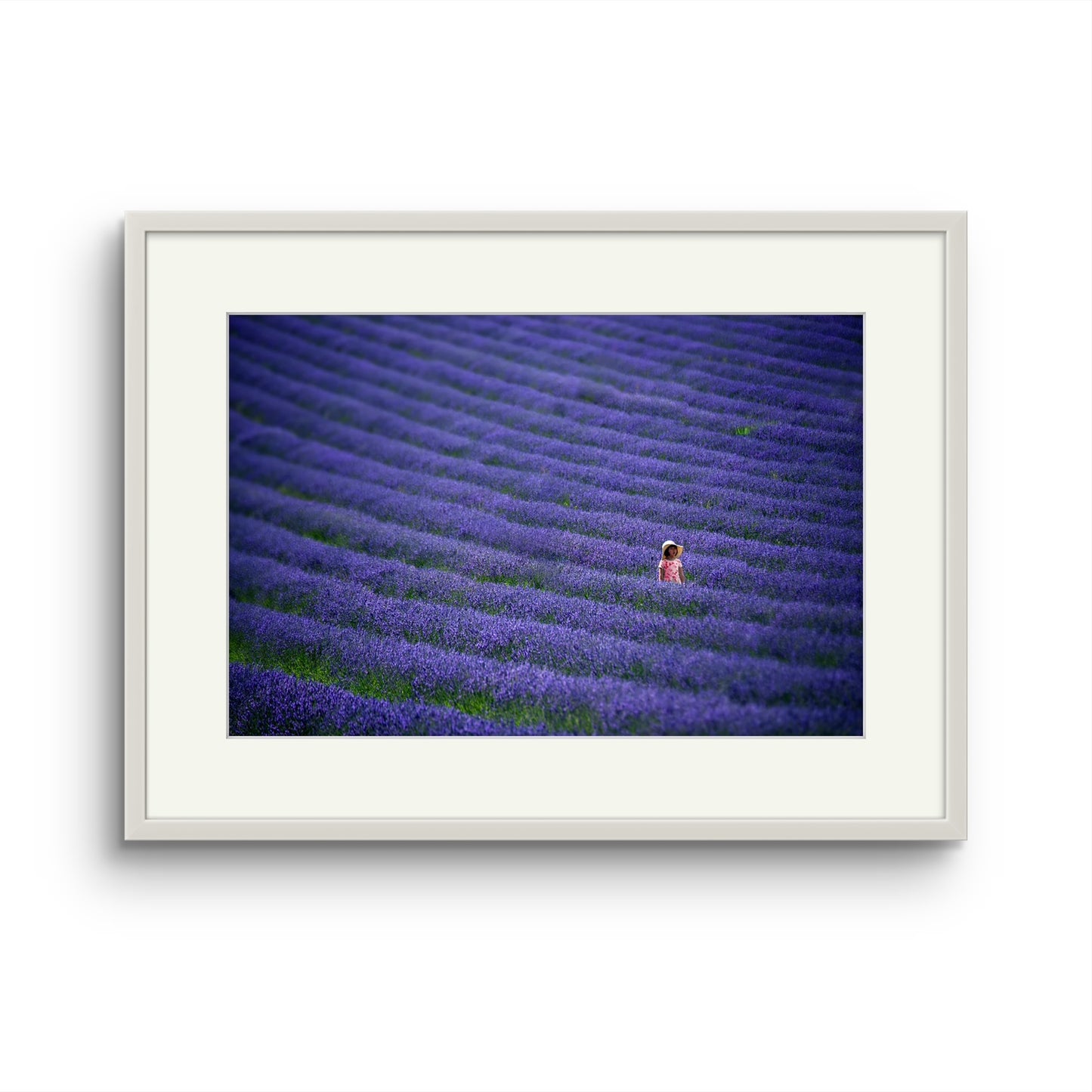 Lavender Girl