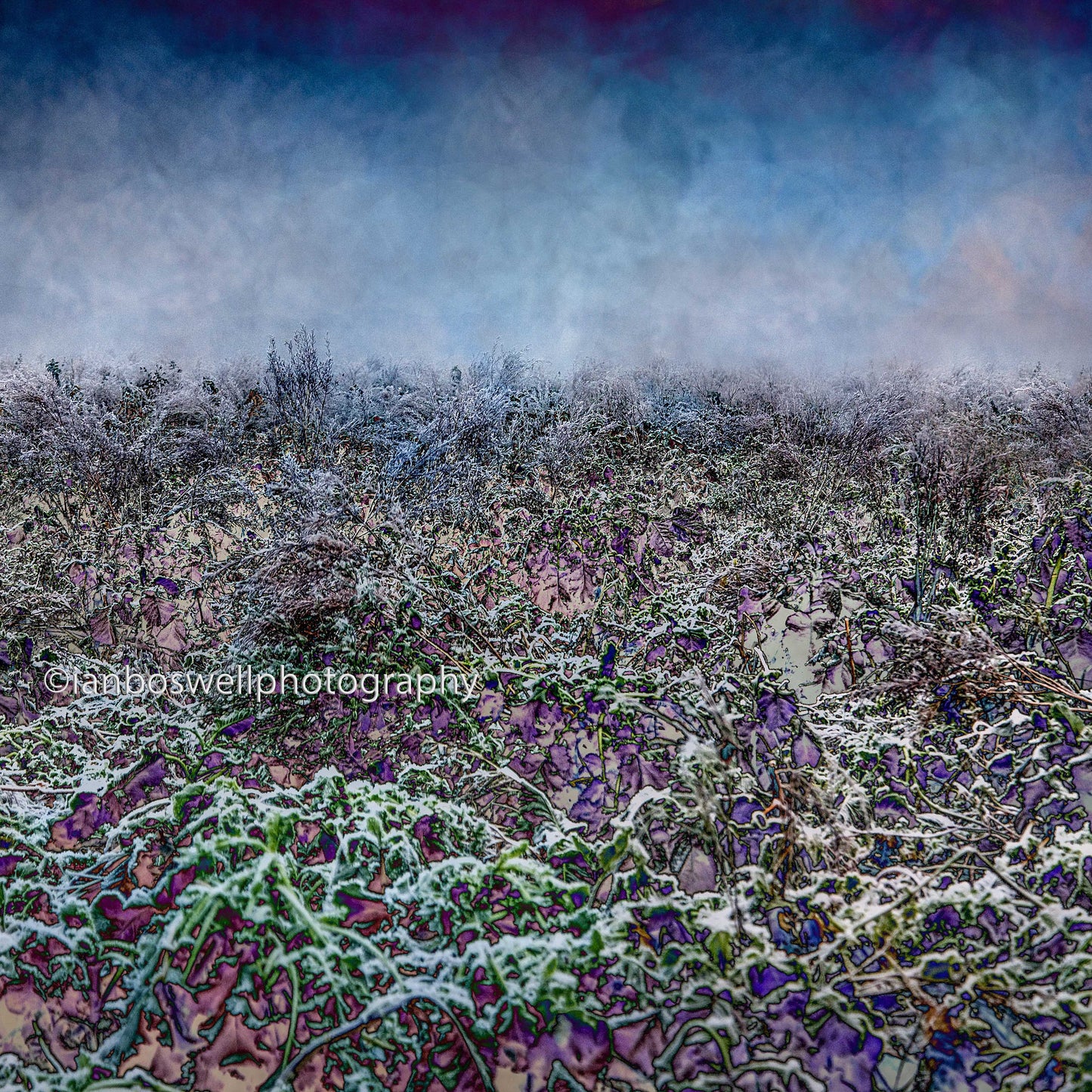 Frozen farmland, Marden