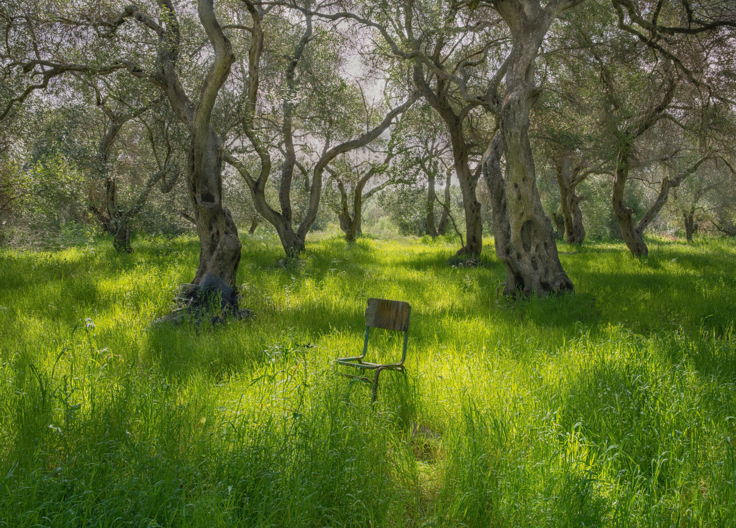 Waiting Chair