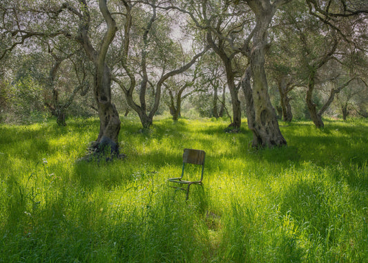 Waiting Chair