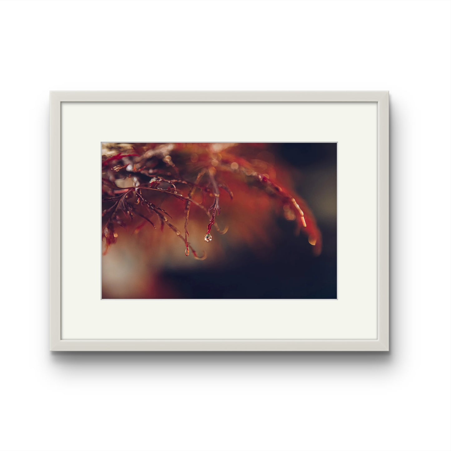 Droplet