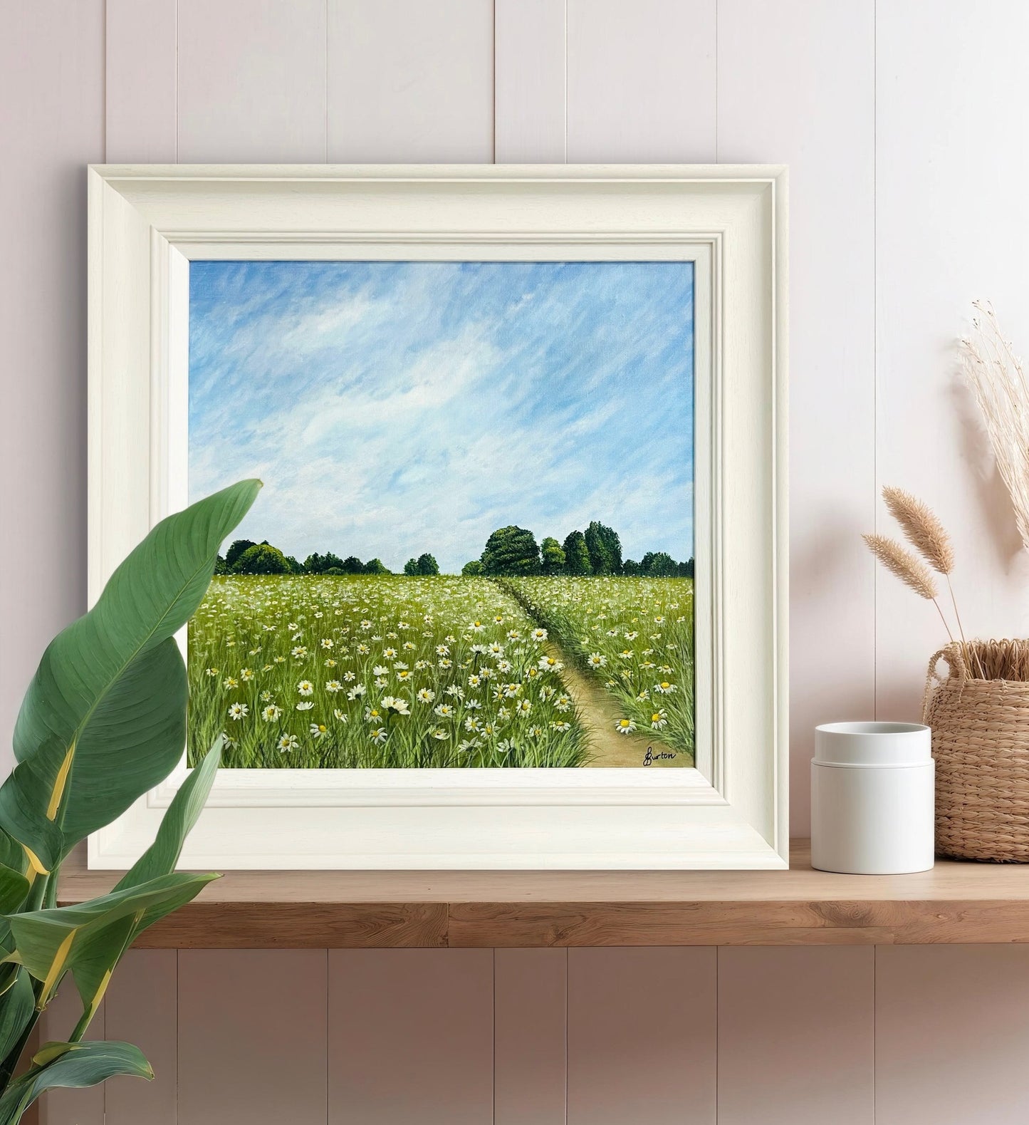 Field of Daisies