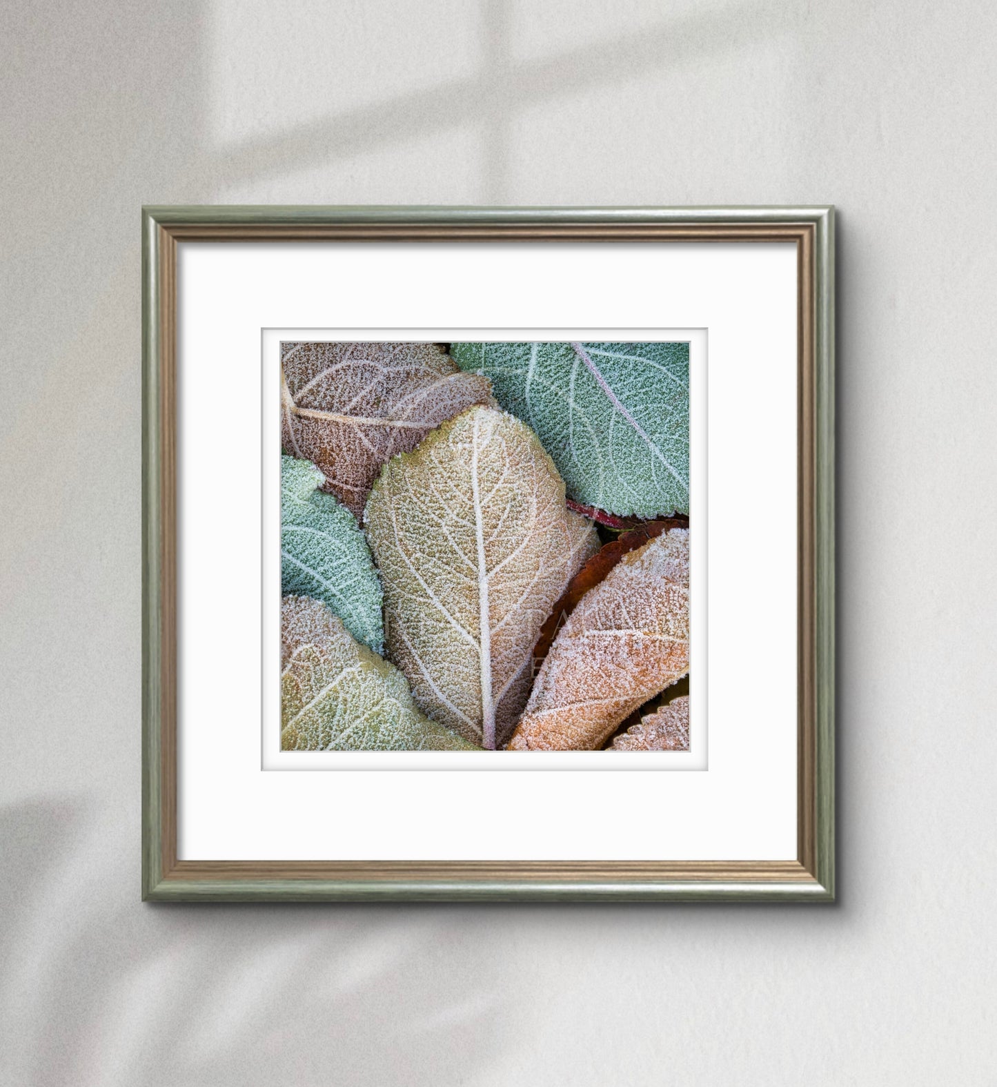 Ice Crystals (Large)