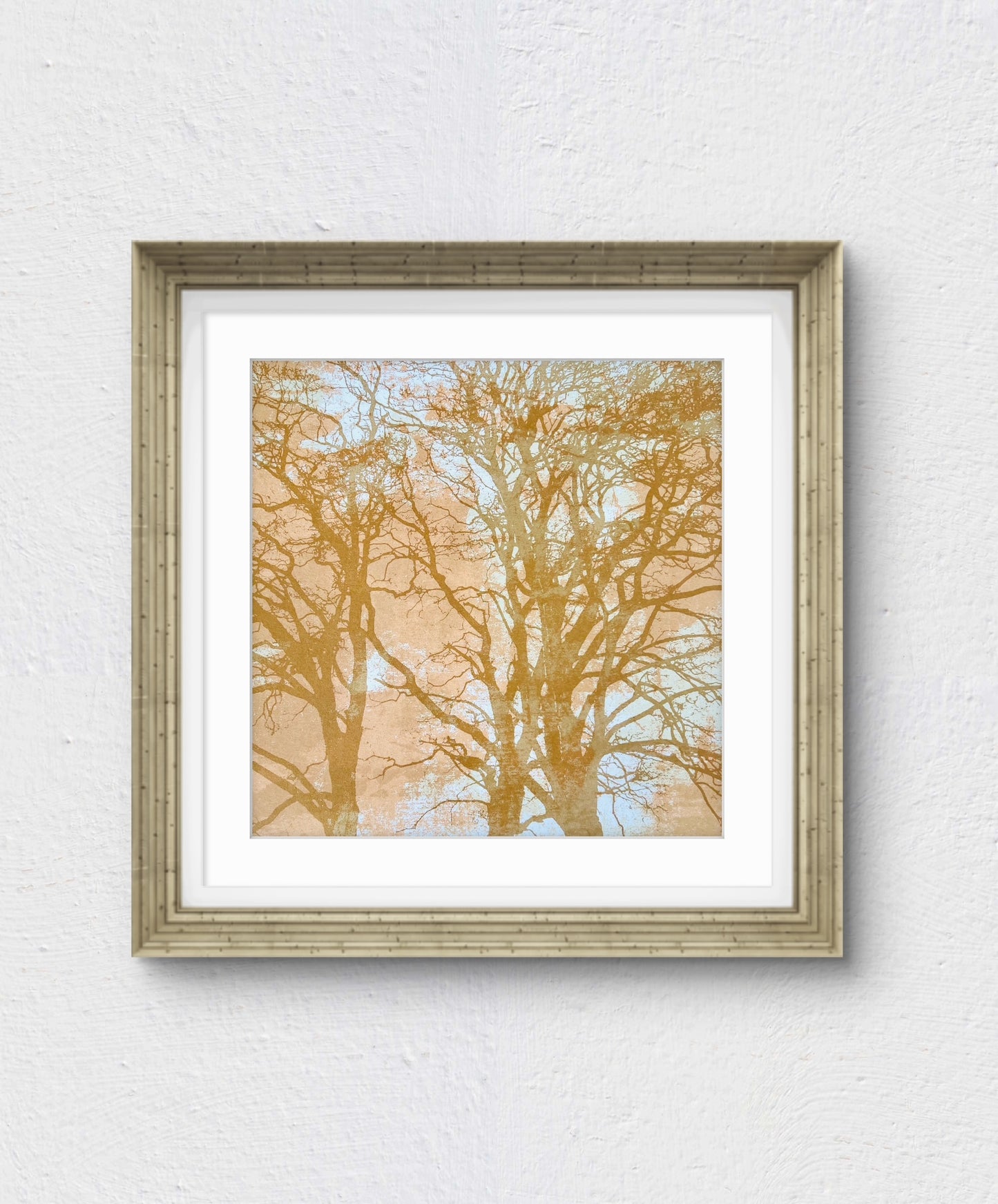 When Trees Dreams II