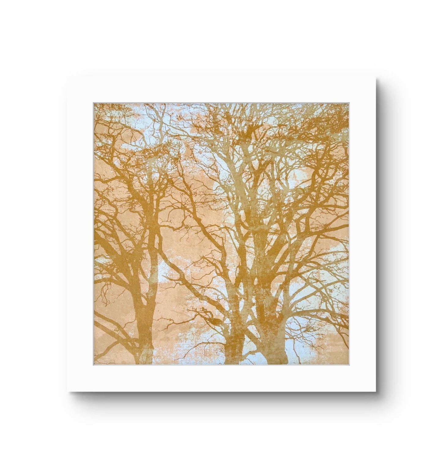 When Trees Dreams II