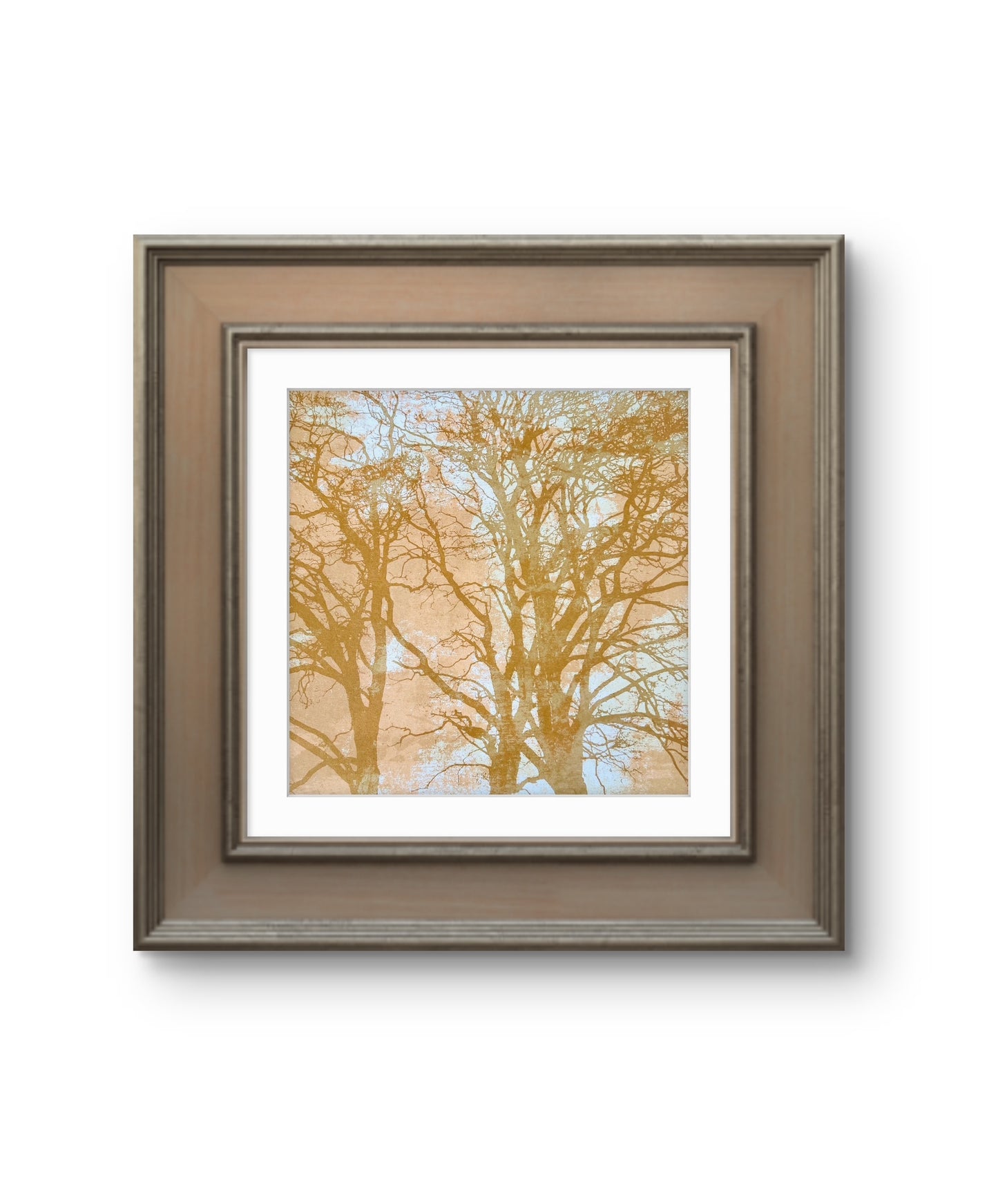 When Trees Dreams II