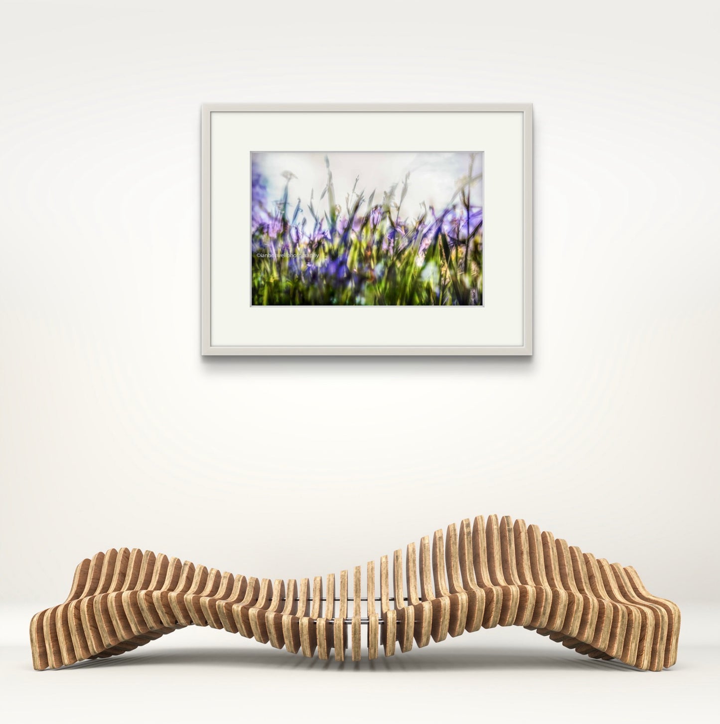 Iris Leaves