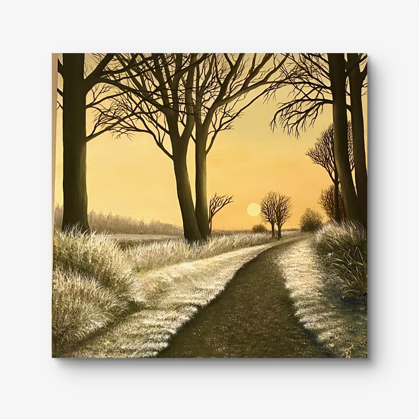 Winters Walk