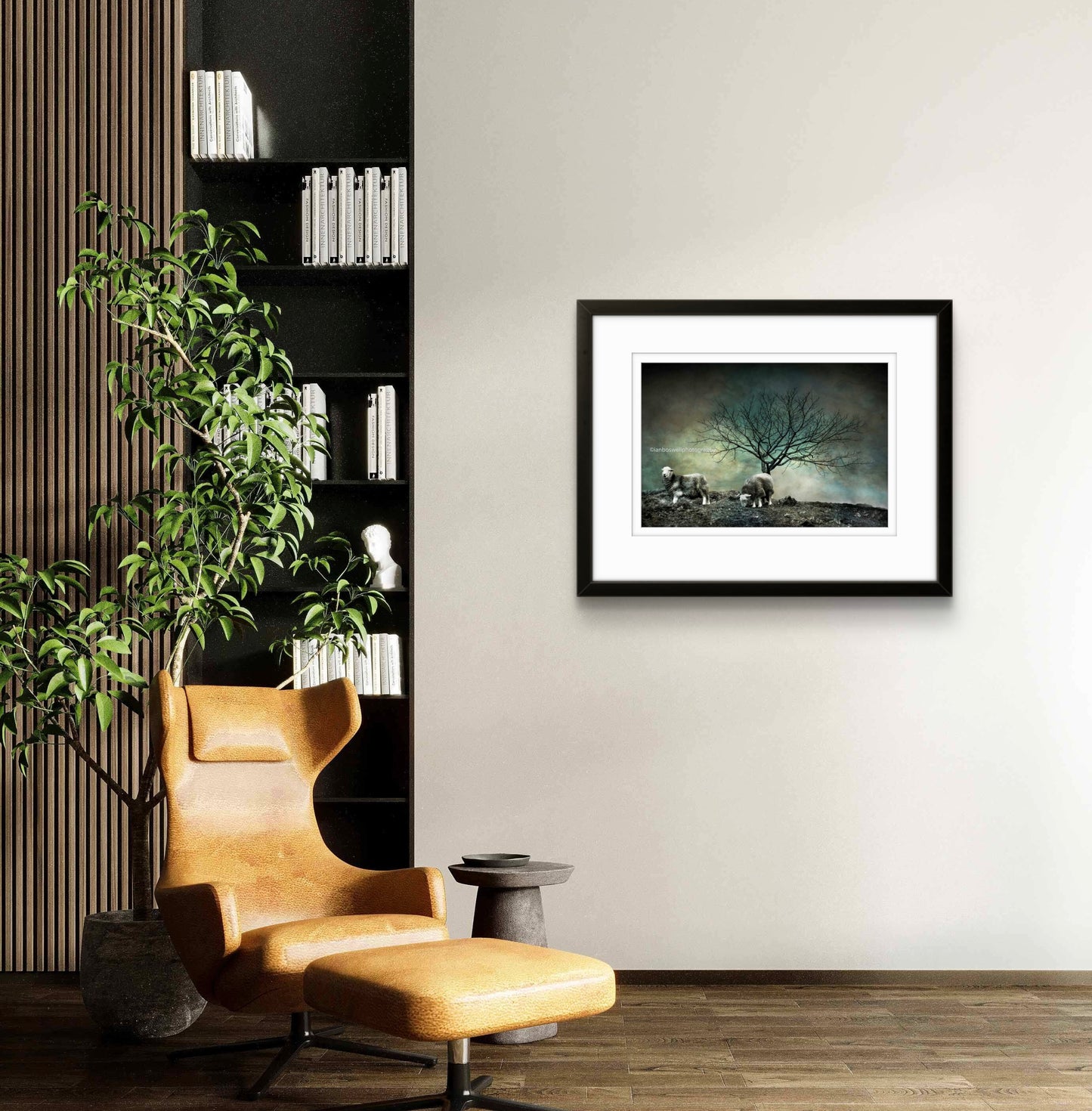 Herdwick sheep, Lake District