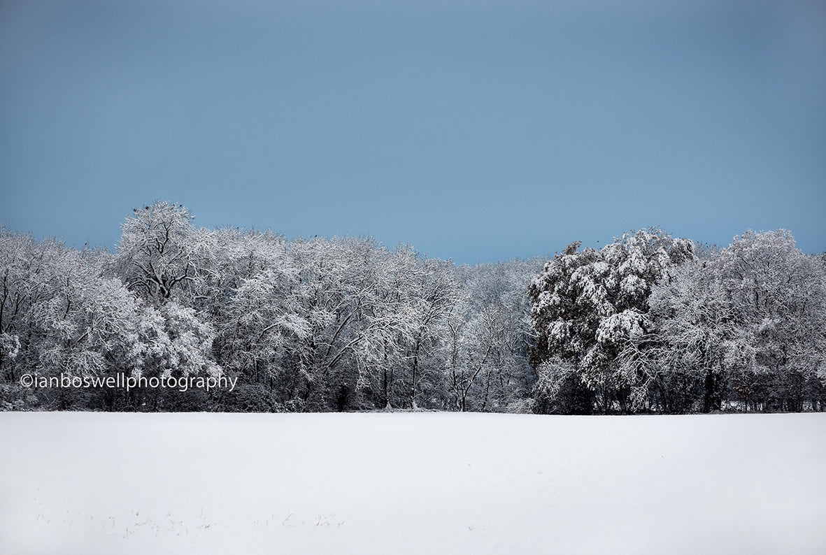 Flag of Estonia, Marden