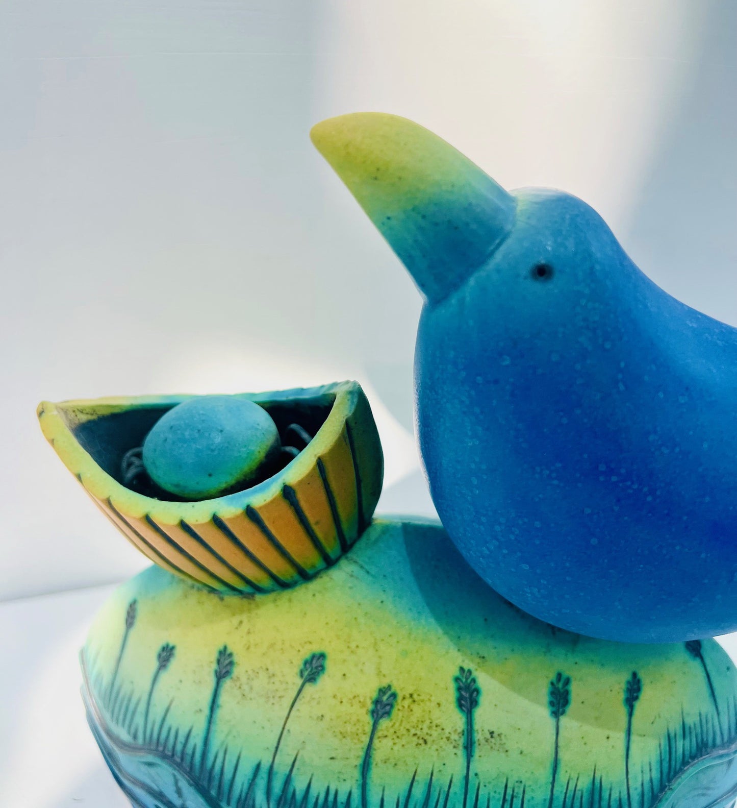 Blue Bird Nesting by the Water Edge