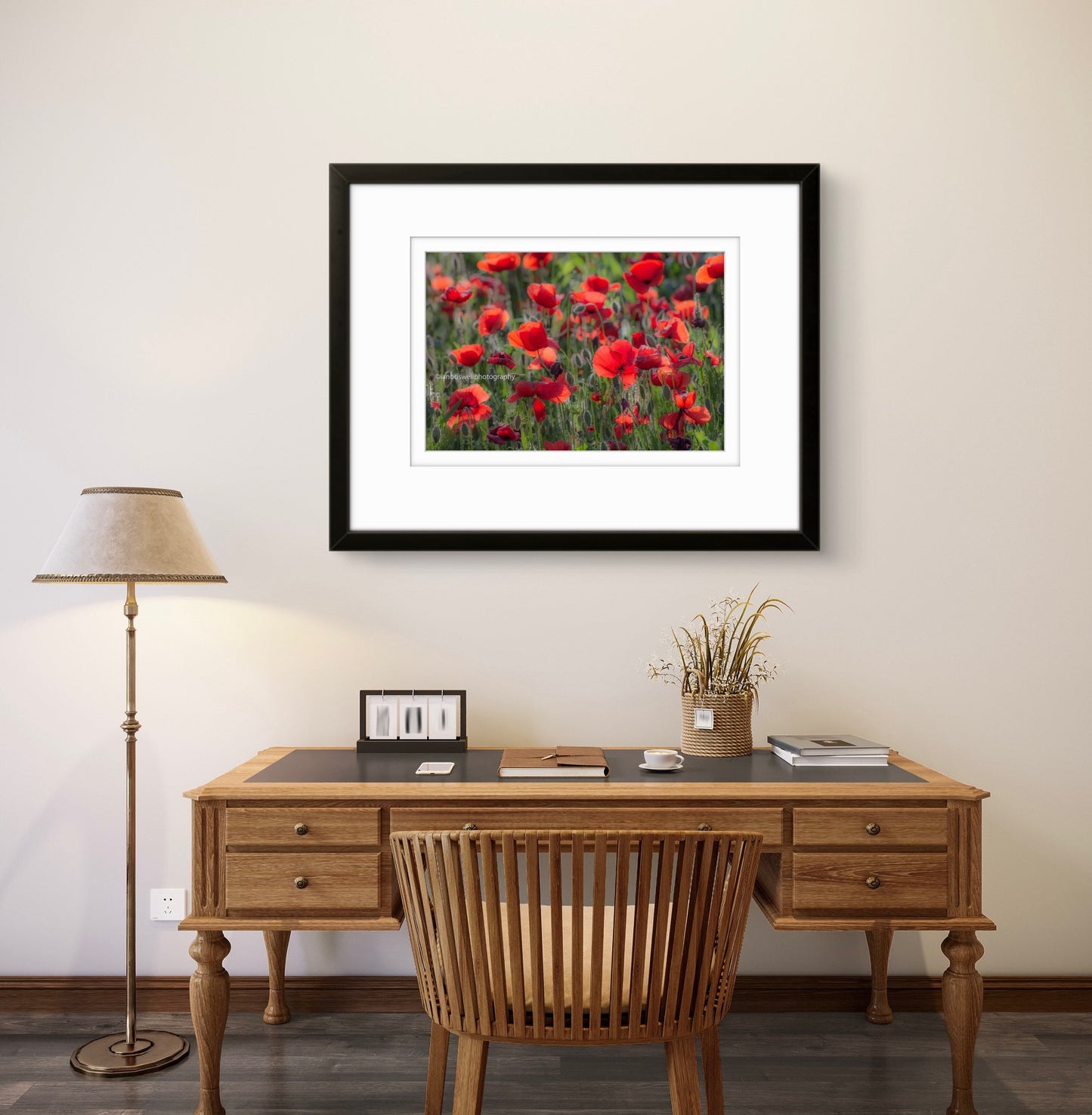 Poppy field, Gioella, Umbria (framed)