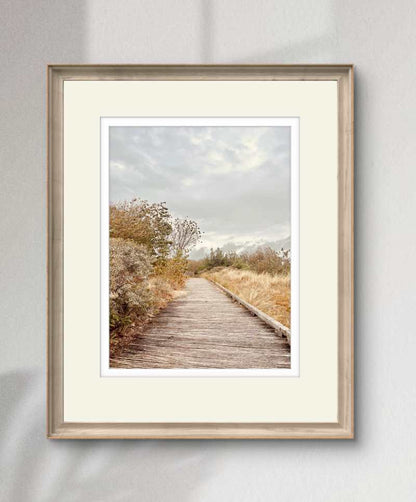 Golden Space (Framed)