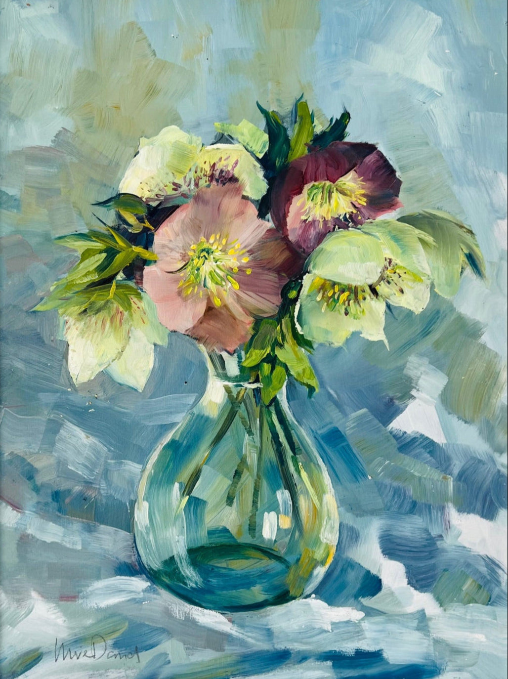 Hellebores