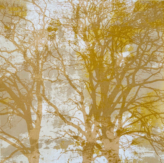 When Trees Dreams I