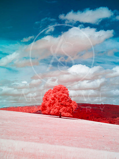 Peak District - Derbyshire - UK (small)