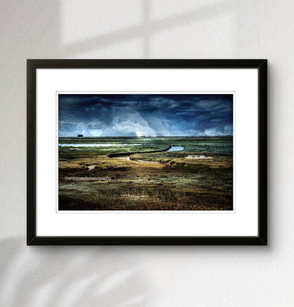 Rye Harbour Reserve