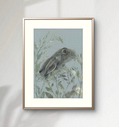 Spring Hare I