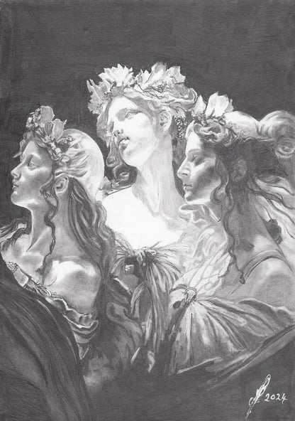 3 Graces