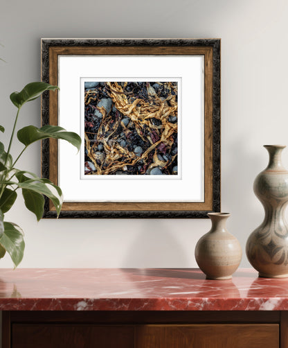 Kelp, Isle of Skye