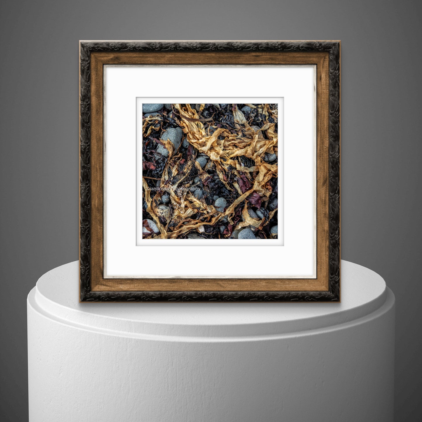 Kelp, Isle of Skye