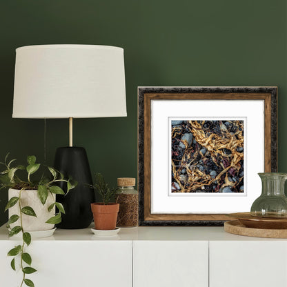 Kelp, Isle of Skye