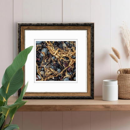 Kelp, Isle of Skye