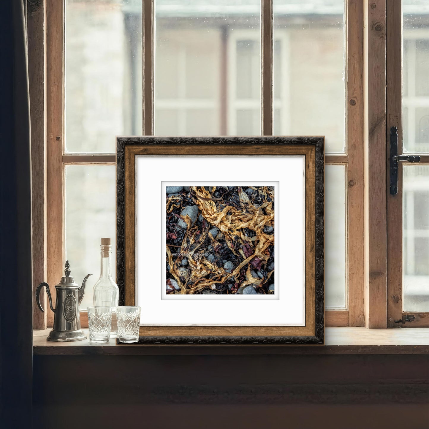 Kelp, Isle of Skye