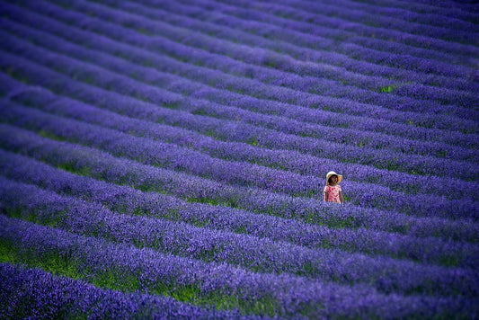 Lavender Girl