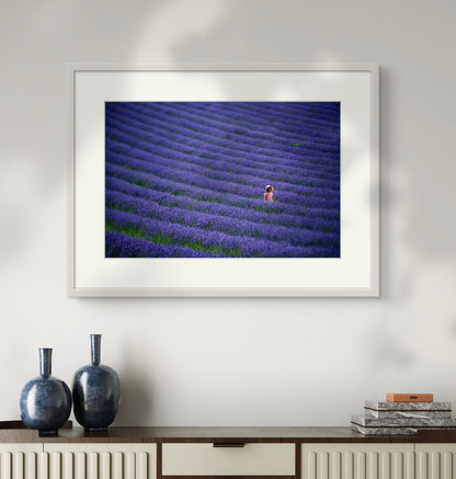 Lavender Girl