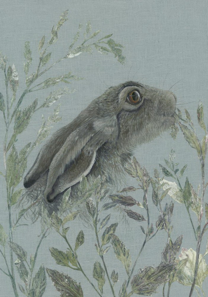 Spring Hare I