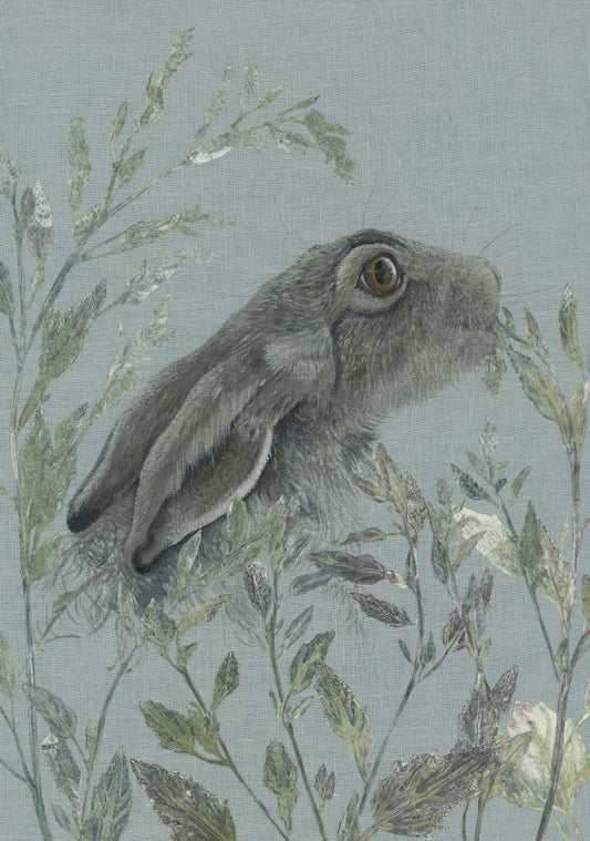 Spring Hare I
