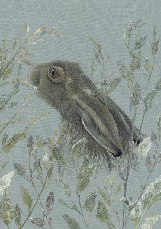 Spring Hare II