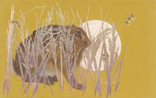 The Corn Moon