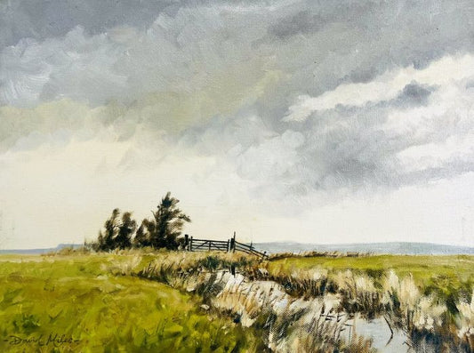 Looking towards Cliffe Higham Marshes