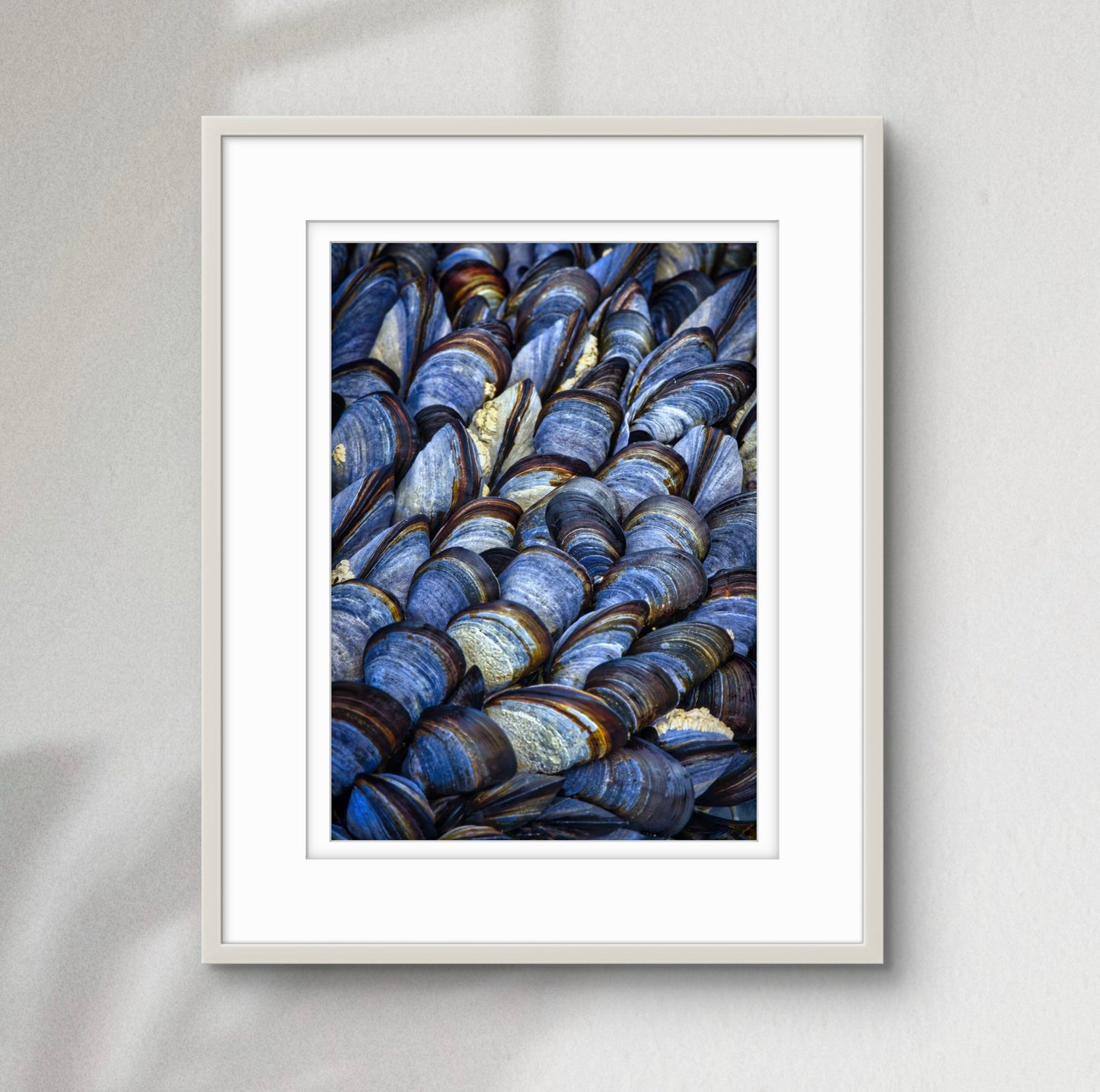 Mussels II