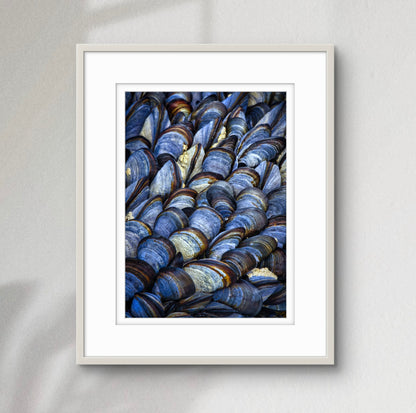 Mussels II