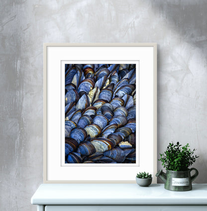 Mussels II
