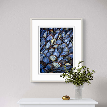 Mussels II