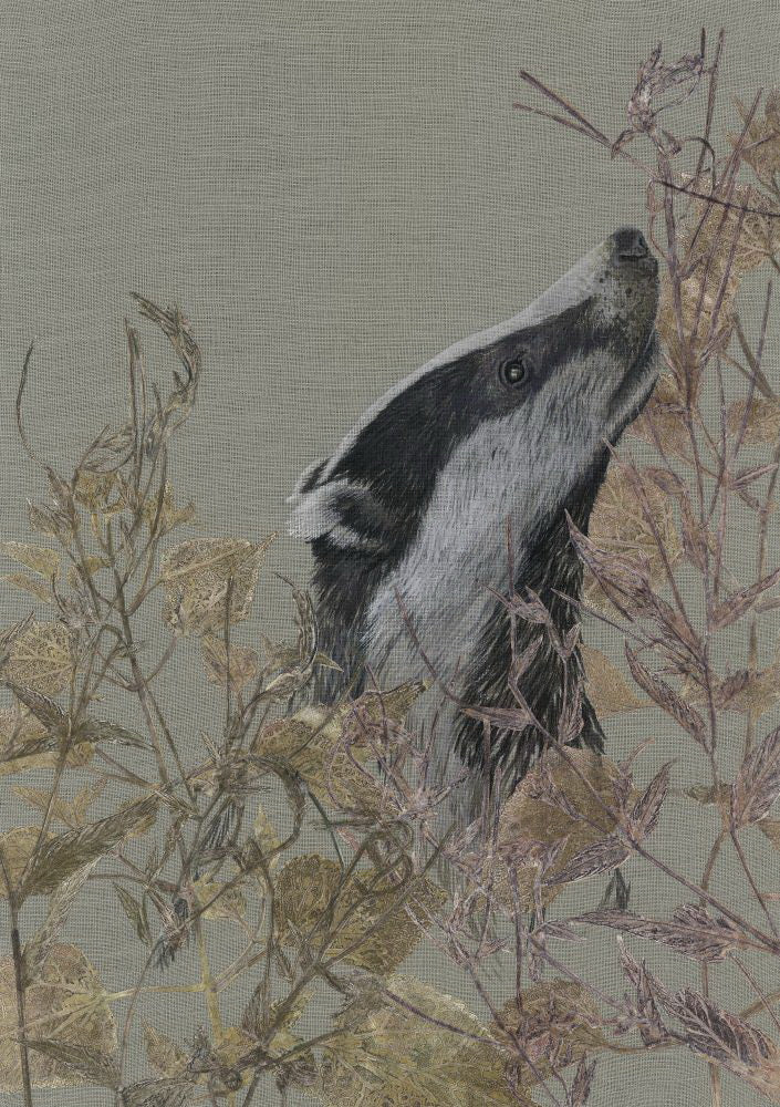 The Silent Conversation - The Badger's Story
