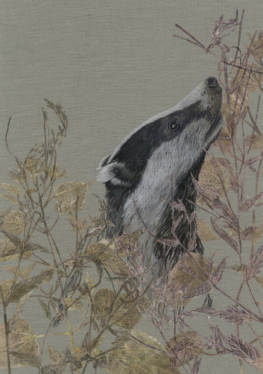 The Silent Conversation - The Badger's Story