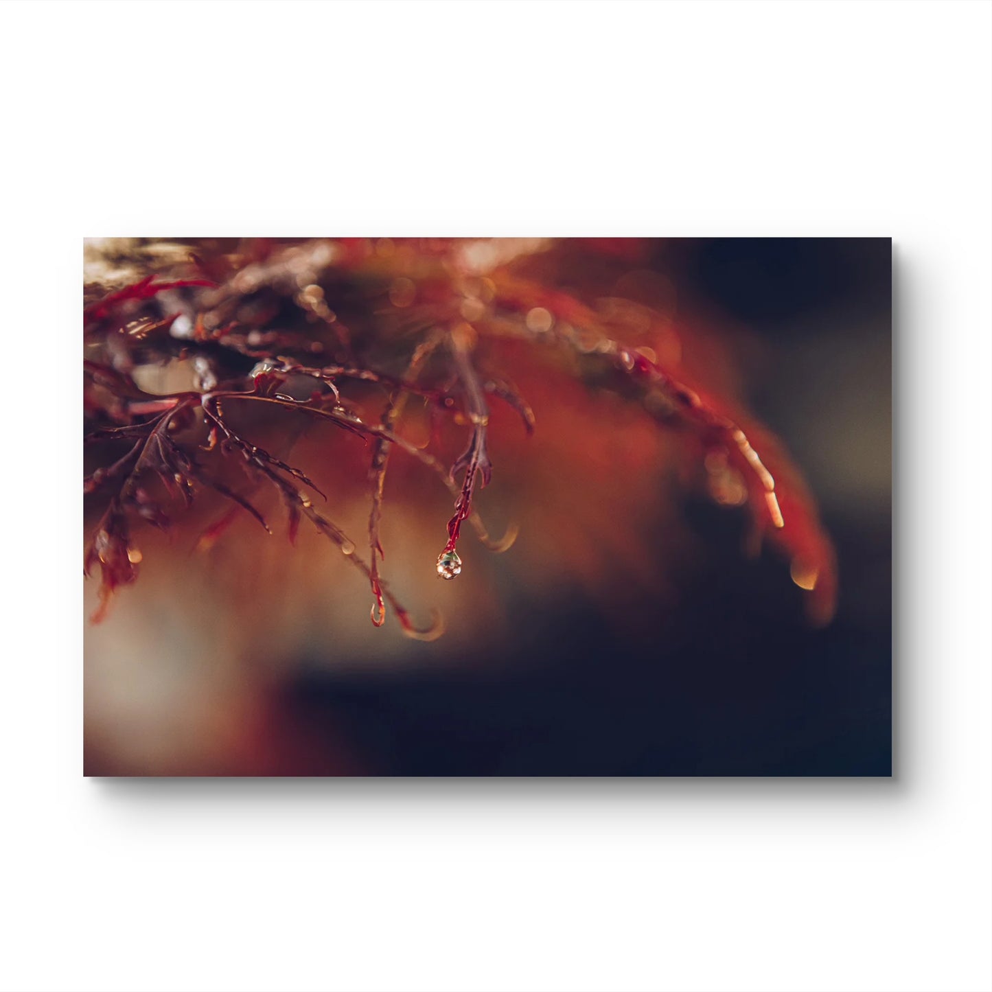 Droplet