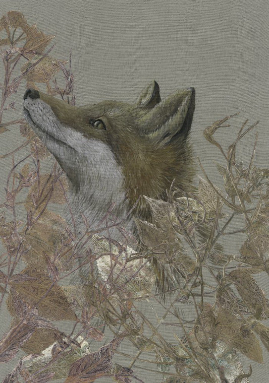 The Silent Conversation - The Foxes Story