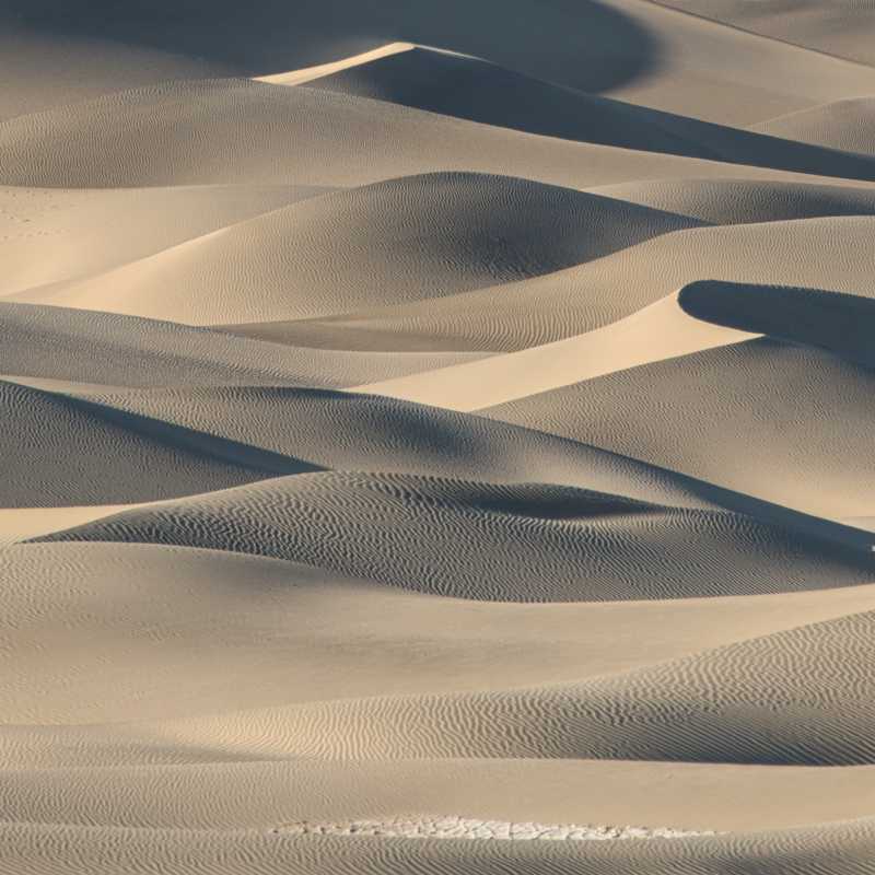 Sea of Dunes II