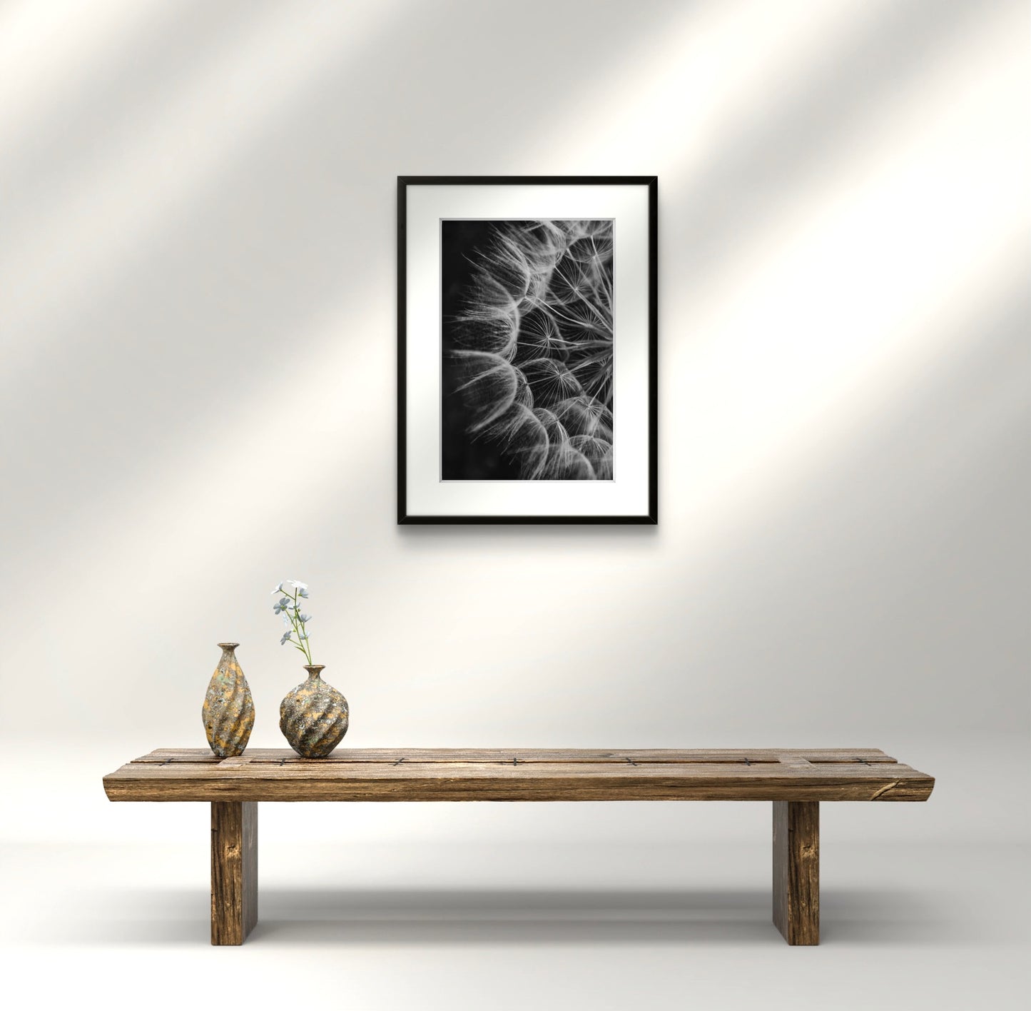 Dandelion 02
