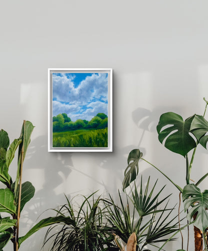 Bright Skies in the Summer