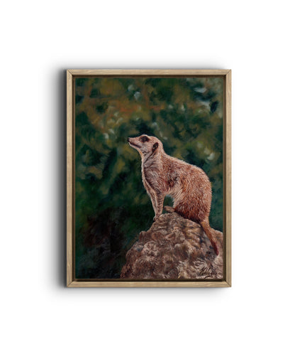 The lookout