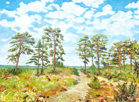 Ashdown Forest