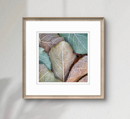 Ice Crystals (small)