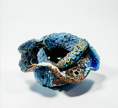 Coral Reef